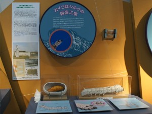カイコはシルクの製造工場